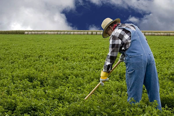 کشاورز مزرعه دار